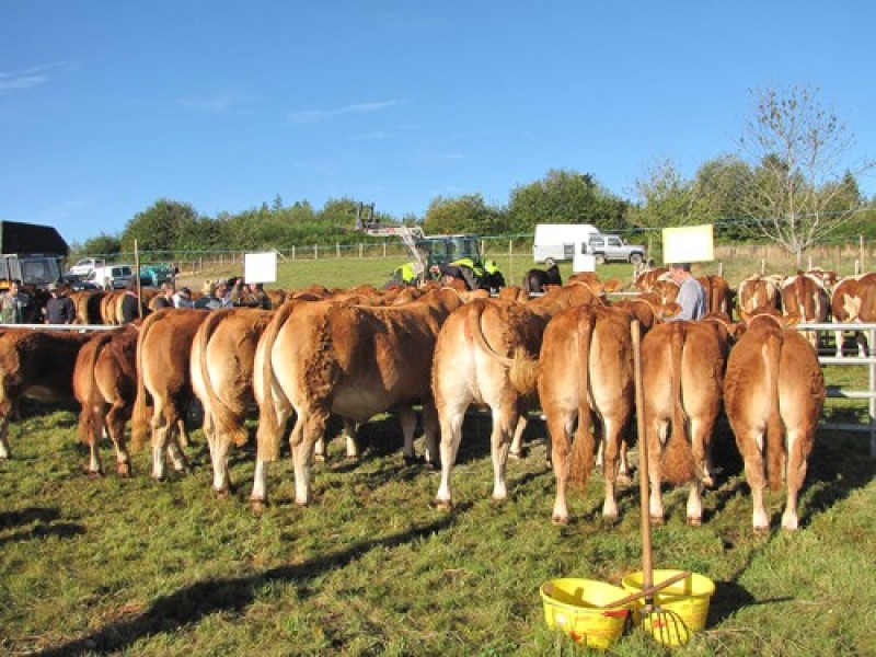 Comice Agricole de l&#039;Ancien Canton de Mercoeur