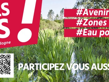 ETUDE SUR LES ZONES HUMIDES ET L’IMPACT SUR LA RESSOURCE EN EAU EN XAINTRIE