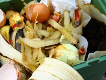 Les règles pour réussir son compost